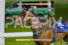 2026_PACEPIX_GP04092026_Race5_APreciousGem_WIN_WEB-21