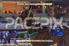 2026_PACEPIX_GP04092026_Race5_APreciousGem_WIN_WEB-29