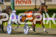 RACE 5 - Aardiebytheseaside