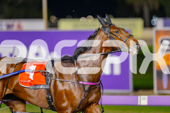2025_PACEPIX_GP13062025_RACE5_Aardiebytheseaside_WIN_WEB-1