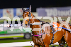 2025_PACEPIX_GP13062025_RACE5_Aardiebytheseaside_WIN_WEB-13