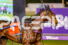 2025_PACEPIX_GP13062025_RACE5_Aardiebytheseaside_WIN_WEB-5