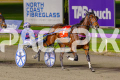 2025_PACEPIX_GP13062025_RACE5_Aardiebytheseaside_WIN_WEB-8