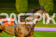 2025_PACEPIX_GP06062025_RACE5_Aardiebytheseaside_WIN_WEB-18