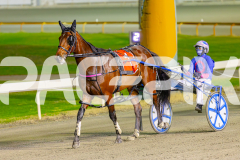 2025_PACEPIX_GP06062025_RACE5_Aardiebytheseaside_WIN_WEB-19