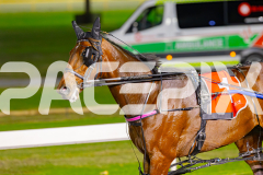 2025_PACEPIX_GP06062025_RACE5_Aardiebytheseaside_WIN_WEB-20