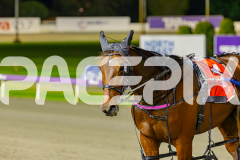 2025_PACEPIX_GP06062025_RACE5_Aardiebytheseaside_WIN_WEB-23