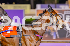 2025_PACEPIX_GP06062025_RACE5_Aardiebytheseaside_WIN_WEB-9