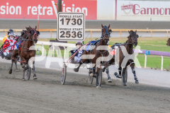 RACE 5 - Akabah
