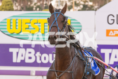 Akabah_24-03-2026_WIN_Gloucester-Park_5__11