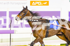2025_PACEPIX_GP02092025_RACE5_AlderbaranBoyd_WIN_WEB-17