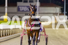 2025_PACEPIX_GP02092025_RACE5_AlderbaranBoyd_WIN_WEB-19