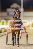 2025_PACEPIX_GP02092025_RACE5_AlderbaranBoyd_WIN_WEB-20
