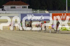 2025_PACEPIX_GP02092025_RACE5_AlderbaranBoyd_WIN_WEB-5