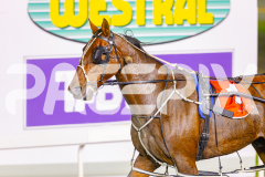 2025_PACEPIX_GP09052025_RACE5_AltaTribute_WIN_WEB-17