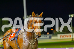 2025_PACEPIX_GP09052025_RACE5_AltaTribute_WIN_WEB-22