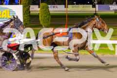 2025_PACEPIX_GP09052025_RACE5_AltaTribute_WIN_WEB-27