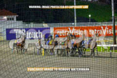 2026_Pacepix_GP31072026_Race5_AmericanBlaze_WIN_WEB-1