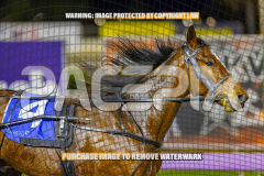 2026_Pacepix_GP31072026_Race5_AmericanBlaze_WIN_WEB-13