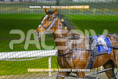 2026_Pacepix_GP31072026_Race5_AmericanBlaze_WIN_WEB-16
