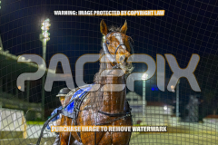 2026_Pacepix_GP31072026_Race5_AmericanBlaze_WIN_WEB-19
