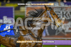 2026_Pacepix_GP31072026_Race5_AmericanBlaze_WIN_WEB-4