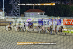2026_Pacepix_GP31072026_Race5_AmericanBlaze_WIN_WEB-5