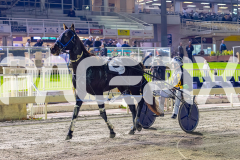 2026_PACEPIX_GP22052026_RACE5_AmericanMachine_WIN_WEB-19