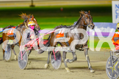 2025_PACEPIX_GP06052025_RACE5_Apologize_WIN_WEB-13