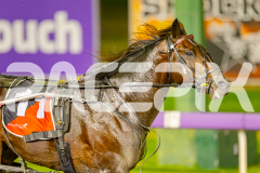 2025_PACEPIX_GP06052025_RACE5_Apologize_WIN_WEB-14