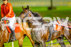 2025_PACEPIX_GP06052025_RACE5_Apologize_WIN_WEB-18