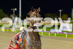 2025_PACEPIX_GP06052025_RACE5_Apologize_WIN_WEB-20