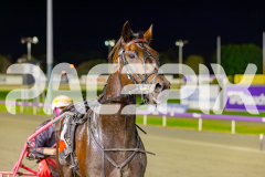 2025_PACEPIX_GP06052025_RACE5_Apologize_WIN_WEB-21