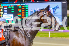 2025_PACEPIX_GP06052025_RACE5_Apologize_WIN_WEB-24