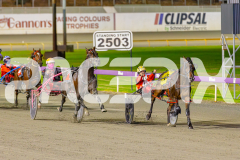 2025_PACEPIX_GP06052025_RACE5_Apologize_WIN_WEB-7