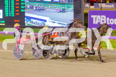 2025_PACEPIX_GP06052025_RACE5_Apologize_WIN_WEB-9
