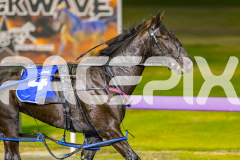 2026_PACEPIX_GP02062026_RACE5_Arista_WIN_WEB-12