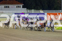 2026_PACEPIX_GP02062026_RACE5_Arista_WIN_WEB-3