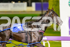 2026_PACEPIX_GP02062026_RACE5_Arista_WIN_WEB-5
