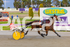 RACE 5 - Arum