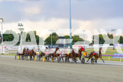 2025_PACEPIX_GP18112025_RACE5_Arum_WIN_WEB-1