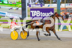 2025_PACEPIX_GP18112025_RACE5_Arum_WIN_WEB-11
