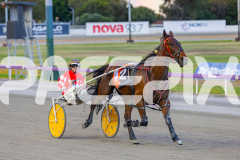 2025_PACEPIX_GP18112025_RACE5_Arum_WIN_WEB-15
