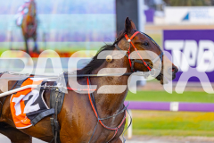 2025_PACEPIX_GP18112025_RACE5_Arum_WIN_WEB-16