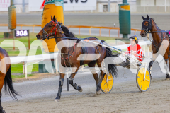 2025_PACEPIX_GP18112025_RACE5_Arum_WIN_WEB-18
