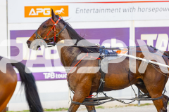 2025_PACEPIX_GP18112025_RACE5_Arum_WIN_WEB-19