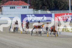 2025_PACEPIX_GP18112025_RACE5_Arum_WIN_WEB-4