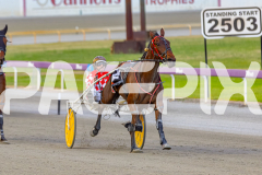 2025_PACEPIX_GP18112025_RACE5_Arum_WIN_WEB-5