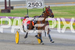 2025_PACEPIX_GP18112025_RACE5_Arum_WIN_WEB-6