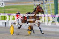 2025_PACEPIX_GP18112025_RACE5_Arum_WIN_WEB-7